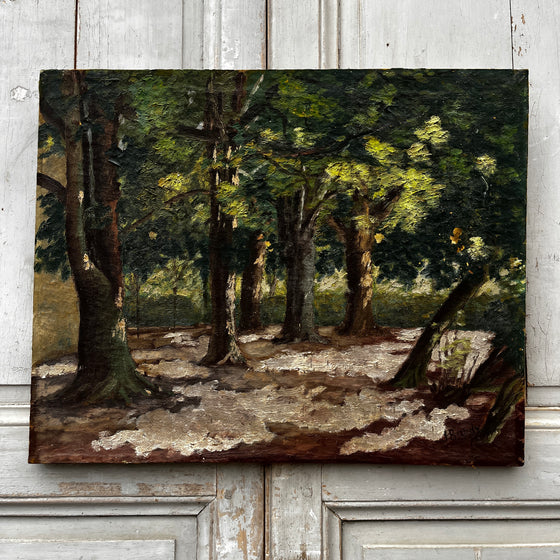 Woodland scene painting
